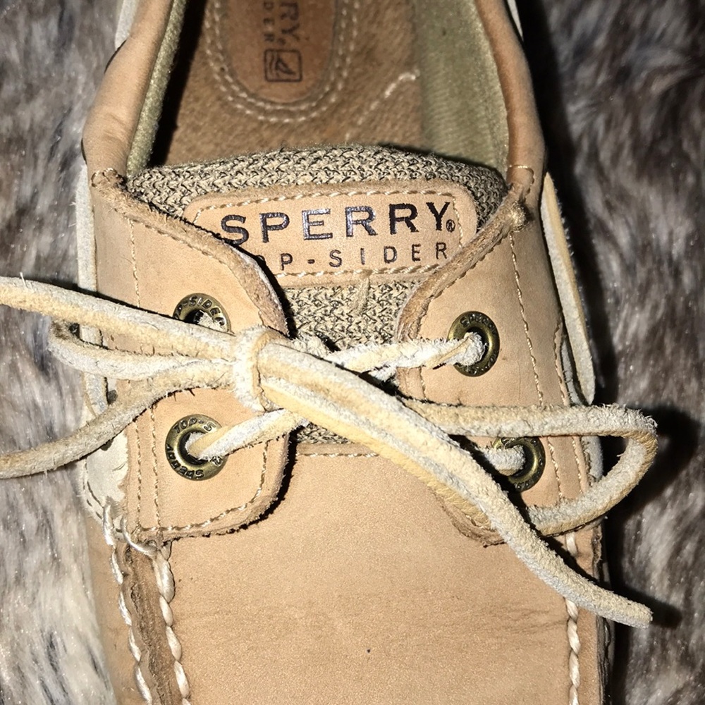 Sperrys - Picture 3 of 3